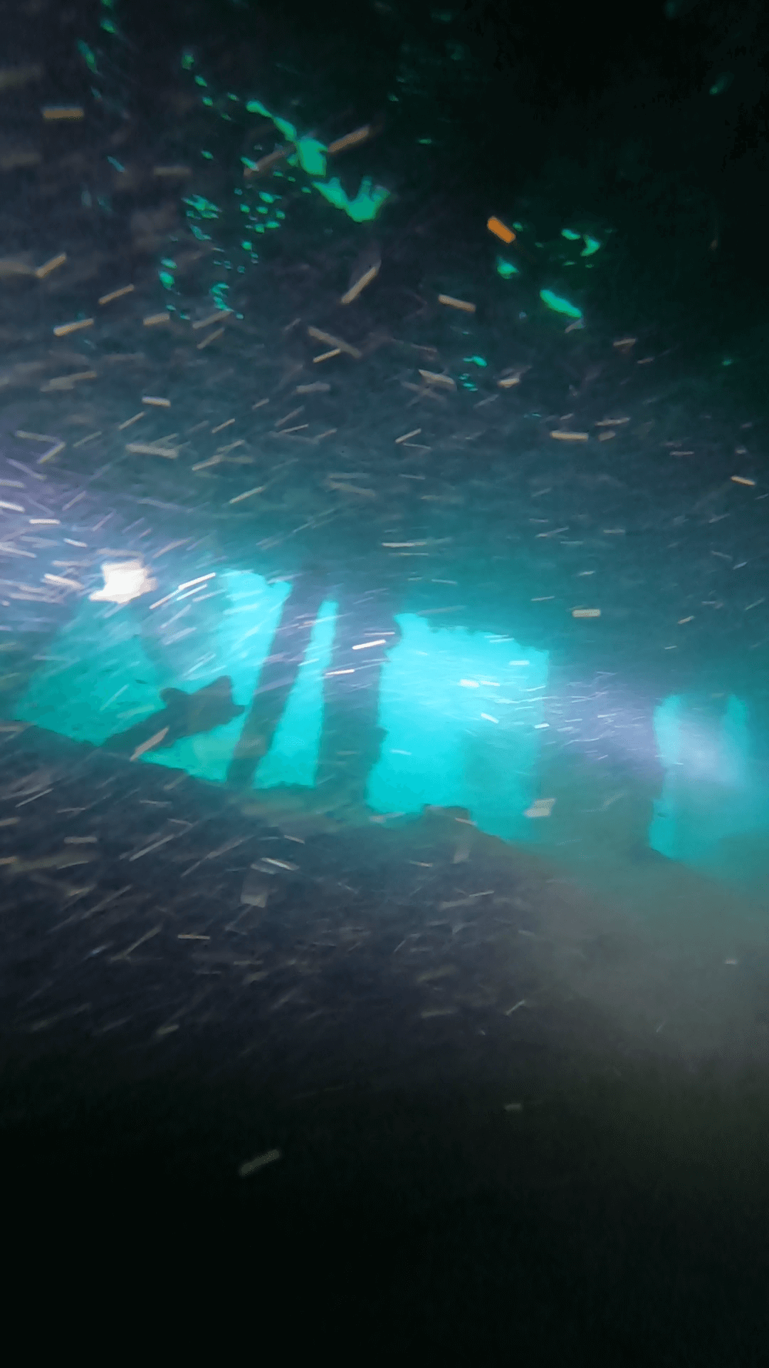 Snorkeling at the Lusong Gunboat Wreck